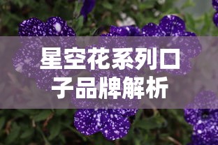 星空花系列口子品牌解析