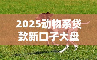 2025动物系贷款新口子大盘点