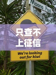 只查不上征信的信用查询方法