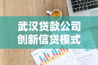 武汉贷款公司创新信贷模式解析