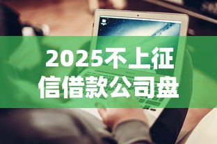 2025不上征信借款公司盘点