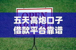 五天高炮口子借款平台靠谱吗