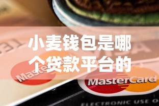 小麦钱包是哪个贷款平台的口子