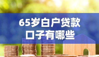 65岁白户贷款口子有哪些