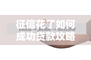 征信花了如何成功贷款攻略