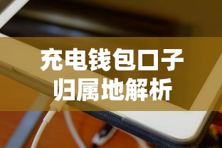 充电钱包口子归属地解析