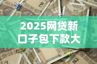 2025网贷新口子包下款大全
