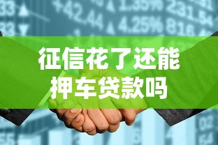征信花了还能押车贷款吗