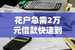 花户急需2万元借款快速到账方法