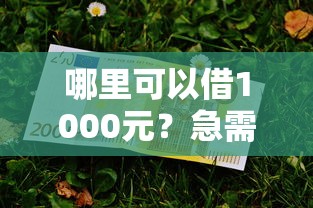哪里可以借1000元？急需正规小额贷款平台推荐
