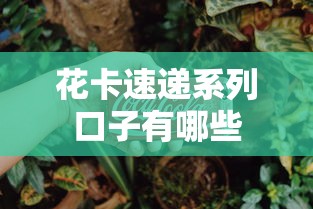 花卡速递系列口子有哪些