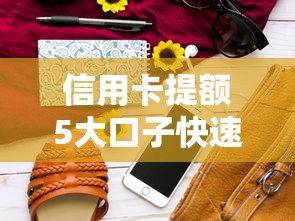 信用卡提额5大口子快速攻略