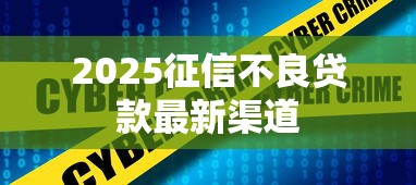 2025征信不良贷款最新渠道