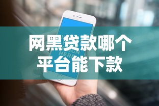 网黑贷款哪个平台能下款