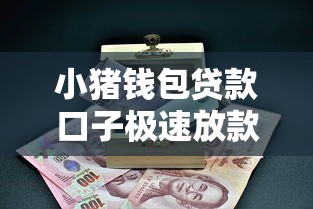 小猪钱包贷款口子极速放款流程