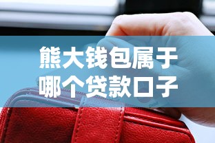 熊大钱包属于哪个贷款口子