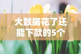大数据花了还能下款的5个正规平台