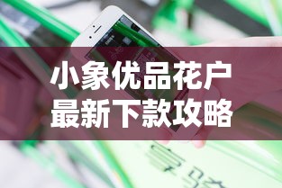 小象优品花户最新下款攻略解析