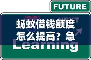 蚂蚁借钱额度怎么提高？急需快速提升借款能力的实用技巧