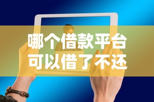 哪个借款平台可以借了不还