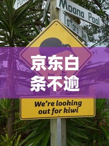 京东白条不逾期上征信吗