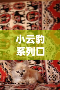 小云豹系列口子哪个靠谱好下款 小云豹系列口子哪个靠谱好下款
