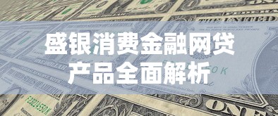 盛银消费金融网贷产品全面解析