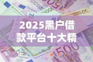 2025黑户借款平台十大精选推荐