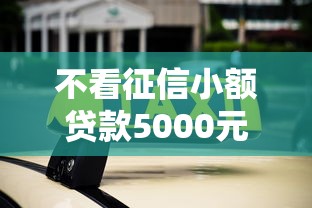 不看征信小额贷款5000元秒批