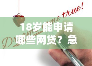 18岁能申请哪些网贷？急需审核快易通过的正规平台推荐