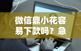 微信鼎小花容易下款吗？急需5000元秒到账的借款平台推荐