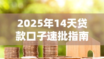 2025年14天贷款口子速批指南