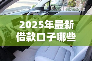 2025年最新借款口子哪些能下款