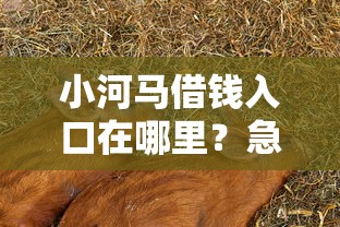 小河马借钱入口在哪里？急需正规安全的借款平台推荐