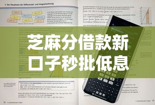 芝麻分借款新口子秒批低息免抵押