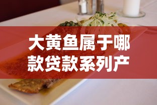大黄鱼属于哪款贷款系列产品