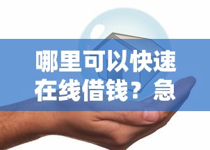 哪里可以快速在线借钱？急需安全可靠的借款平台