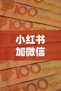 小红书加微信借钱靠谱吗？如何识别网络借贷诈骗保护资金安全