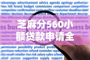 芝麻分560小额贷款申请全攻略