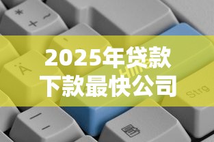 2025年贷款下款最快公司排名