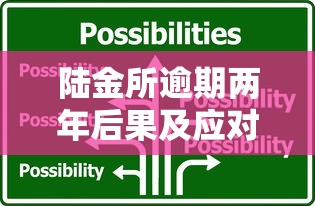 陆金所逾期两年后果及应对措施