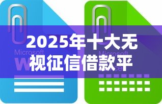 2025年十大无视征信借款平台