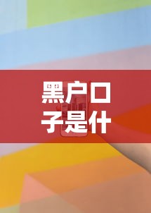 黑户口子是什么意思违法吗