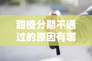 甜橙分期不通过的原因有哪些 如何快速解决借款被拒问题