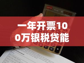 一年开票100万银税贷能贷多少钱