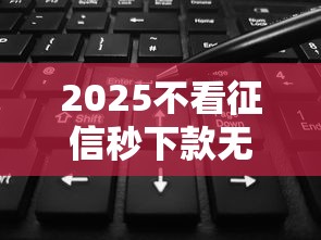 2025不看征信秒下款无视黑白户