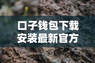 口子钱包下载安装最新官方入口