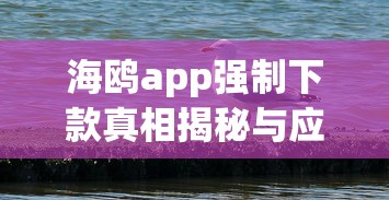 海鸥app强制下款真相揭秘与应对
