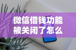 微信借钱功能被关闭了怎么办如何恢复使用借钱服务