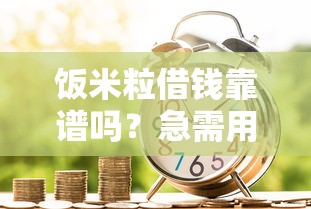 饭米粒借钱靠谱吗？急需用钱如何安全快速借款